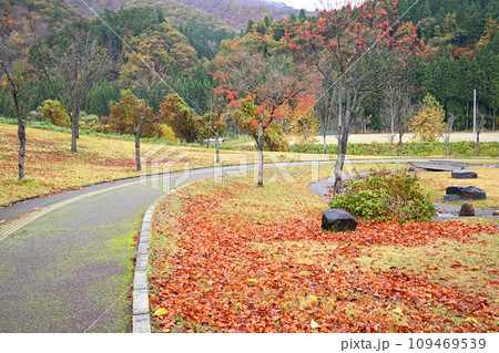 紅葉の季節　湯沢中央公園　秋の風景　 109469539