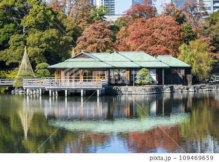 東京都　浜離宮恩賜庭園　中島の御茶屋　紅葉と潮入りの池 109469659