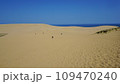鳥取砂丘の風景 109470240
