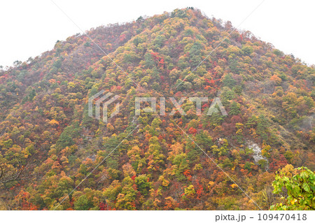 山の紅葉　湯沢中央公園からの眺め　秋の風景　 109470418