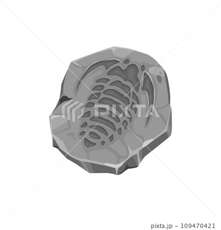 Ancient mollusc fossil imprint in stone. Jurassic era aquatic animal stone imprint, prehistoric mollusk skeleton paleontology museum rock or extinct trilobite, water fauna organism vector fossil 109470421