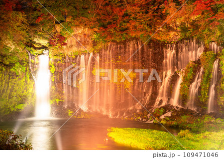 《静岡県》白糸の滝・秋の紅葉ライトアップ 109471046