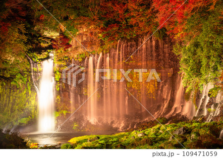 《静岡県》白糸の滝・秋の紅葉ライトアップ 109471059
