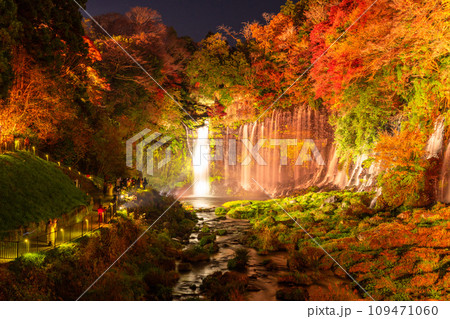 《静岡県》白糸の滝・秋の紅葉ライトアップ 109471060