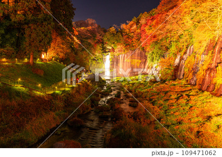 《静岡県》白糸の滝・秋の紅葉ライトアップ 109471062