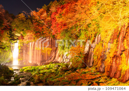 《静岡県》白糸の滝・秋の紅葉ライトアップ 109471064