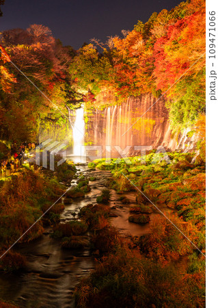 《静岡県》白糸の滝・秋の紅葉ライトアップ 109471066