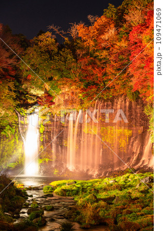《静岡県》白糸の滝・秋の紅葉ライトアップ 109471069