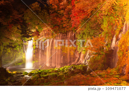 《静岡県》白糸の滝・秋の紅葉ライトアップ 109471077