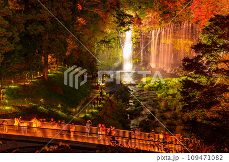 《静岡県》白糸の滝・秋の紅葉ライトアップ 109471082