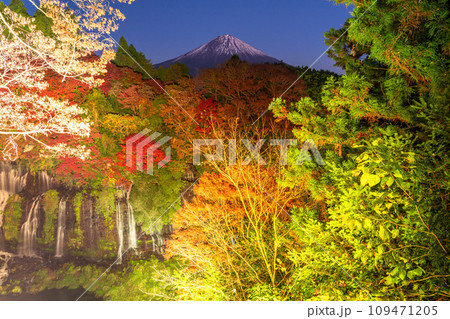 《静岡県》富士山と秋の白糸の滝ライトアップ 109471205