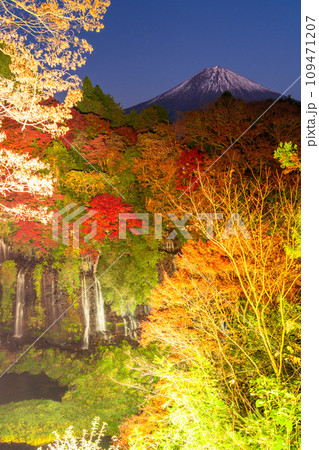 《静岡県》富士山と秋の白糸の滝ライトアップ 109471207
