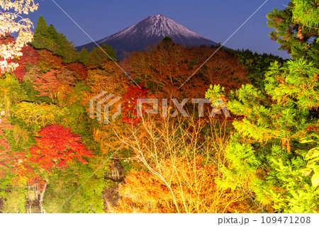 《静岡県》富士山と秋の白糸の滝ライトアップ 109471208