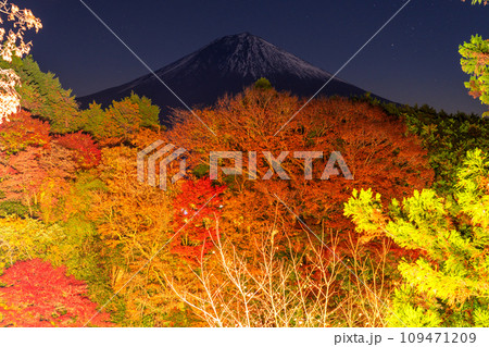 《静岡県》富士山と秋の白糸の滝ライトアップ 109471209