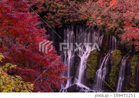 《静岡県》白糸の滝・秋の夕暮れ 109471251