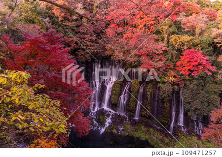《静岡県》白糸の滝・秋の夕暮れ 109471257