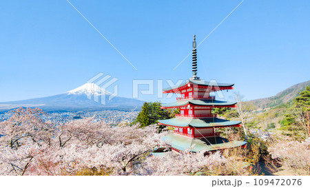 新倉山浅間公園(春) 新倉山浅間公園(春) 109472076