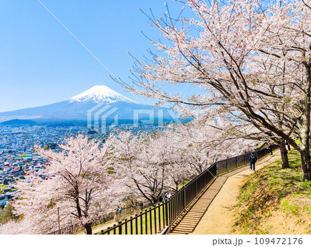 新倉山浅間公園（春） 109472176