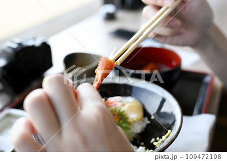 新鮮な魚介類の海鮮丼 109472198