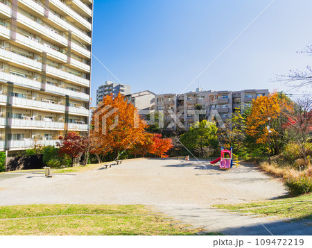 住宅街の公園 秋景 住宅街の公園 秋景 109472219