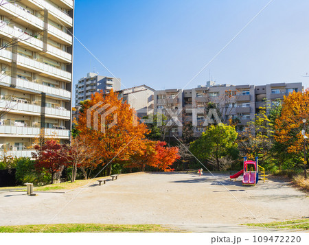 住宅街の公園 秋景 住宅街の公園 秋景 109472220