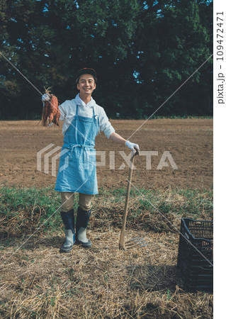 vegetable field 109472471