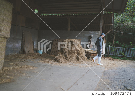 ranch 109472472