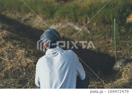 rice farming 109472479