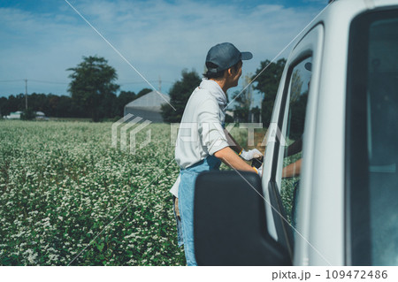 vegetable field 109472486