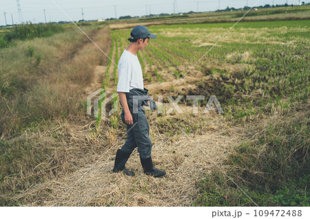 rice farming 109472488