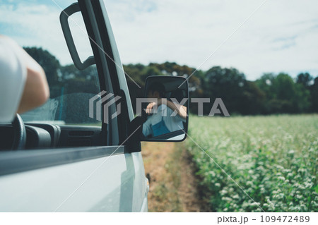 vegetable field 109472489