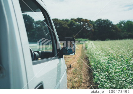 vegetable field 109472493