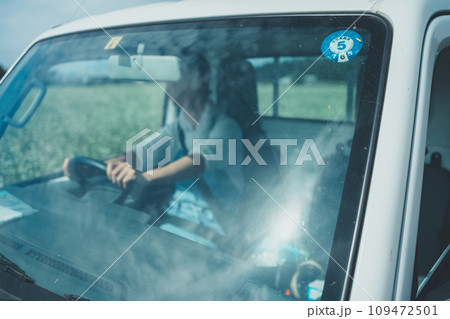 vegetable field vegetable field 109472501