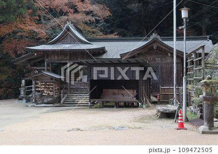 晩秋の山口大神宮の風景 109472505