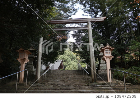 晩秋の山口大神宮の風景 109472509