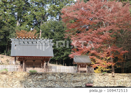 晩秋の山口大神宮の風景 109472513