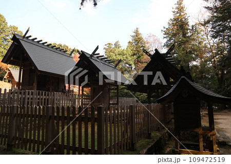 晩秋の山口大神宮の風景 109472519