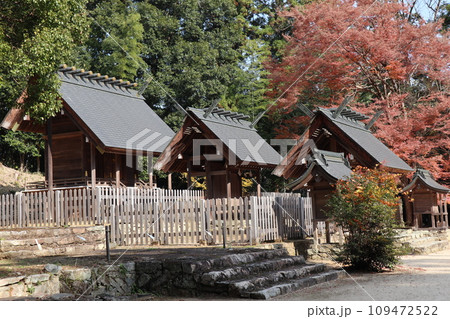 晩秋の山口大神宮の風景 109472522