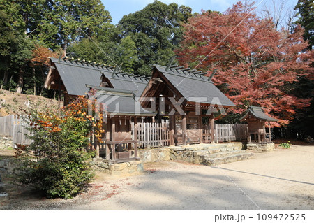 晩秋の山口大神宮の風景 晩秋の山口大神宮の風景 109472525