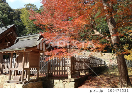 晩秋の山口大神宮の風景 晩秋の山口大神宮の風景 109472531