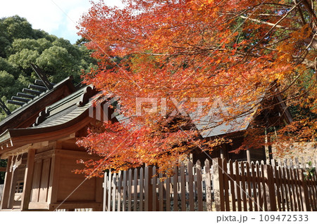 晩秋の山口大神宮の風景 晩秋の山口大神宮の風景 109472533