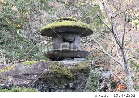 晩秋の山口大神宮の風景 晩秋の山口大神宮の風景 109472552