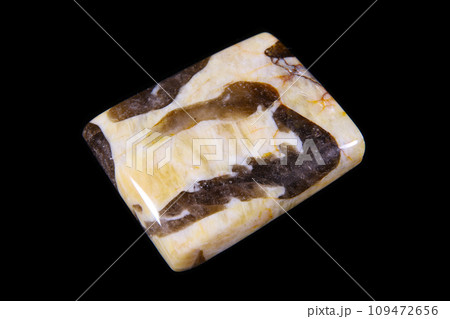 セプタリアン 大地の歴史 109472656