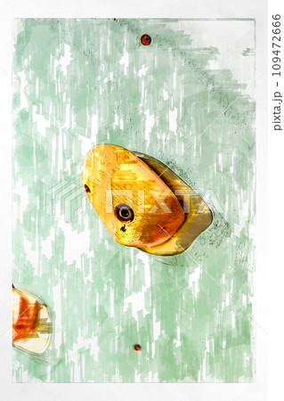 スケッチ ボルダリング ボルダリングウォール 壁 木製 ホールド クライミングジム ボルダリングジム 109472666