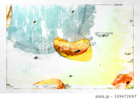 スケッチ ボルダリング ボルダリングウォール 壁 木製 ホールド クライミングジム ボルダリングジム 109472697