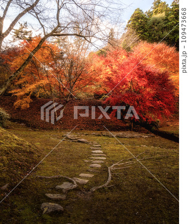 茨城県常陸大宮市　紅葉の西山御殿 109473668