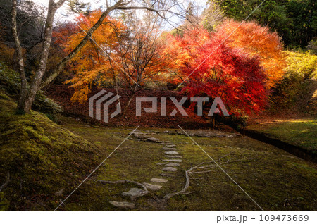 茨城県常陸大宮市　紅葉の西山御殿 109473669