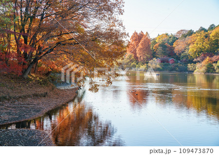 紅葉の宮沢湖 紅葉の宮沢湖 109473870