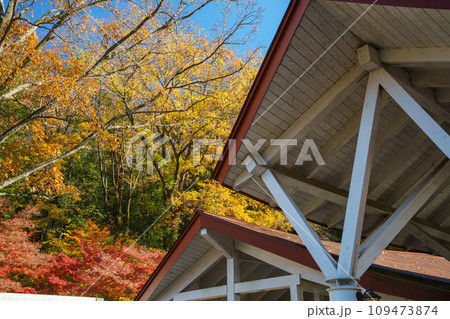 紅葉の宮沢湖 109473874
