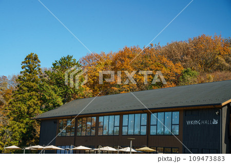 紅葉の宮沢湖 紅葉の宮沢湖 109473883